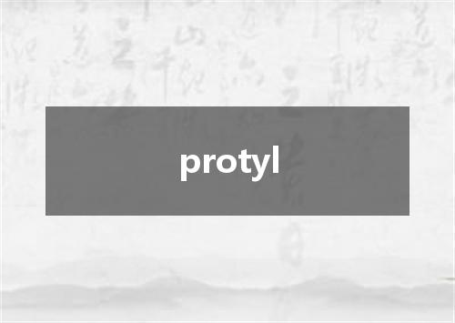 protyl是什么意思