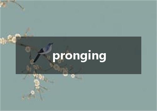 pronging是什么意思