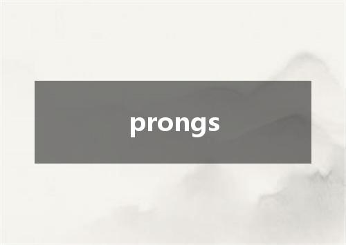 prongs是什么意思