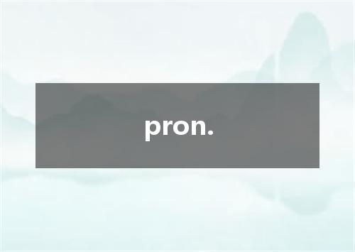 pron.是什么意思