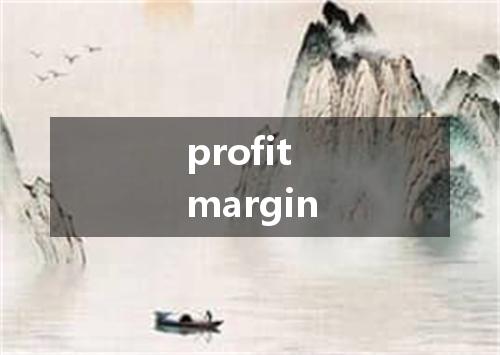 profit margin是什么意思