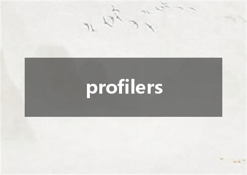 profilers是什么意思