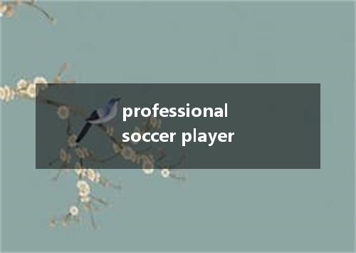 professional soccer player是什么意思
