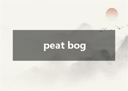 peat bog是什么意思