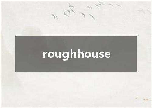 roughhouse是什么意思