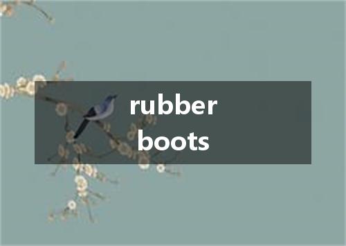 rubber boots是什么意思