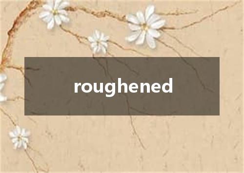 roughened是什么意思