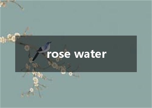 rose water是什么意思