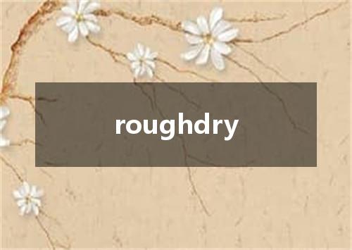 roughdry是什么意思