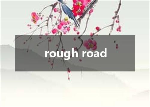 rough road是什么意思