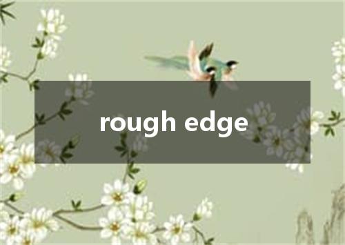 rough edge是什么意思