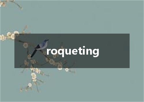 roqueting是什么意思