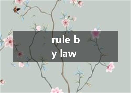 rule by law是什么意思