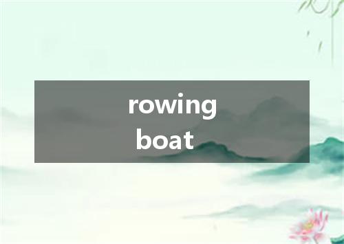 rowing boat是什么意思