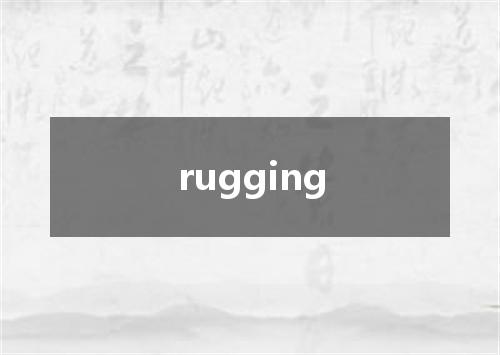 rugging是什么意思