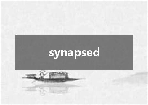 synapsed是什么意思