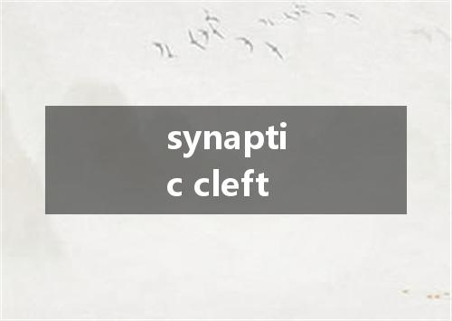 synaptic cleft是什么意思