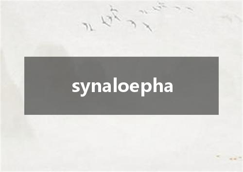 synaloepha是什么意思