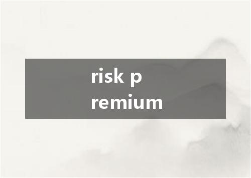 risk premium是什么意思