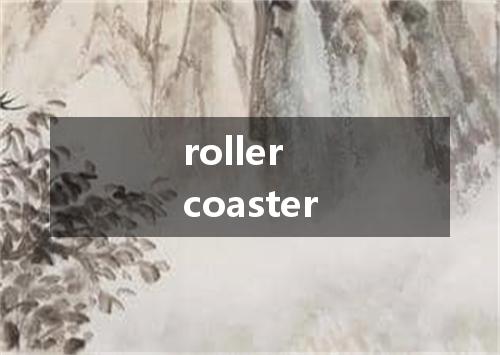 roller coaster是什么意思