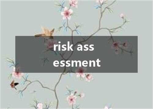 risk assessment是什么意思