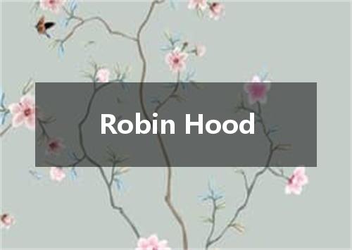 Robin Hood是什么意思