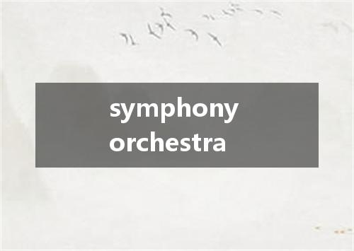 symphony orchestra是什么意思
