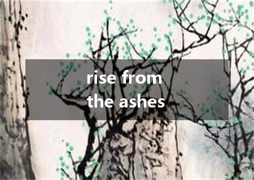 rise from the ashes是什么意思