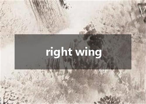 right wing是什么意思