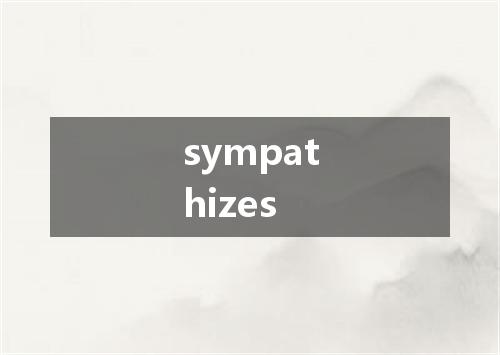 sympathizes是什么意思