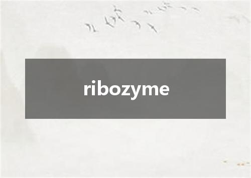 ribozyme是什么意思