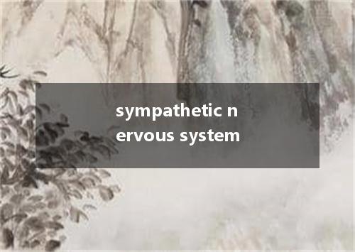sympathetic nervous system是什么意思