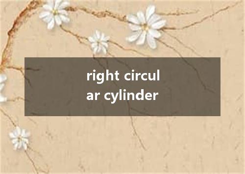 right circular cylinder是什么意思