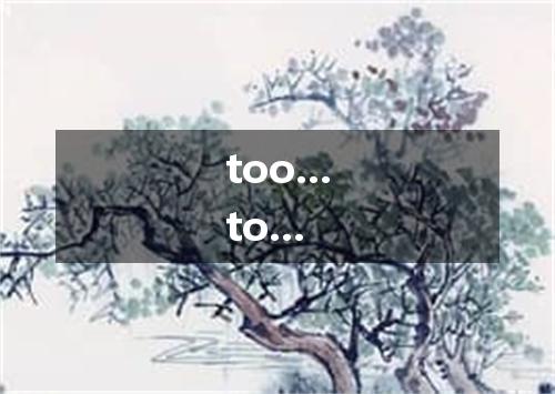 too...to...是什么意思