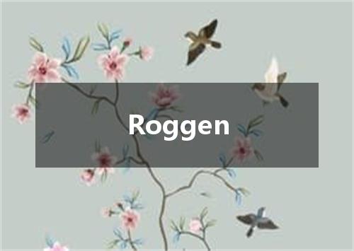 Roggen是什么意思