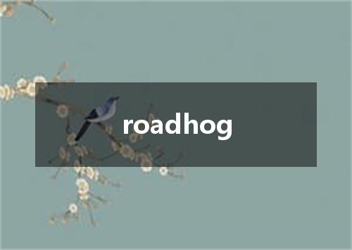 roadhog是什么意思