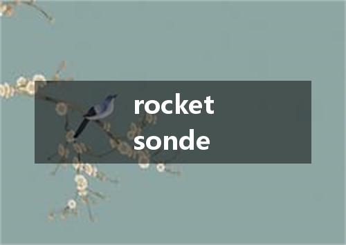 rocketsonde是什么意思