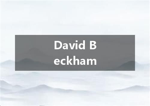 David Beckham是什么意思