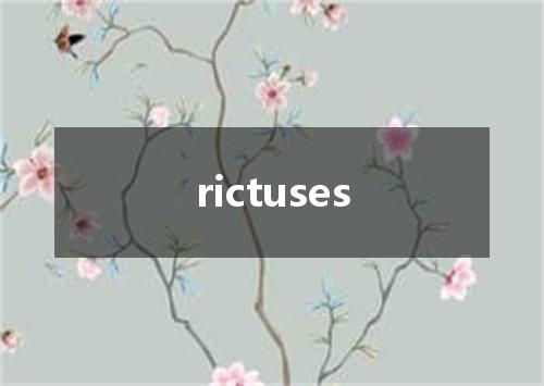 rictuses是什么意思