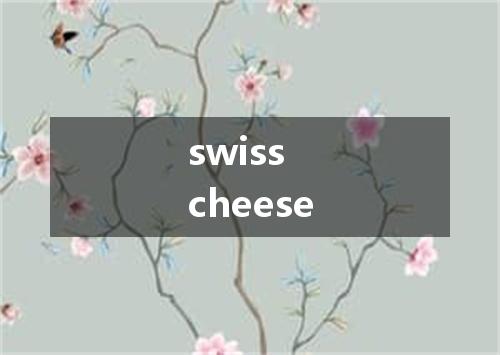 swiss cheese是什么意思