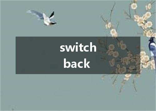 switch back是什么意思
