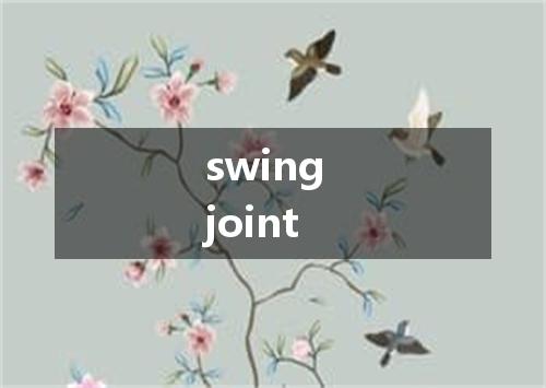swing joint是什么意思