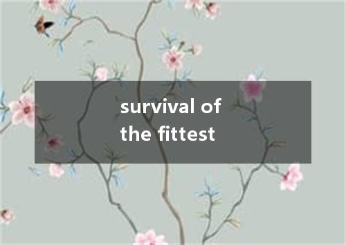 survival of the fittest是什么意思