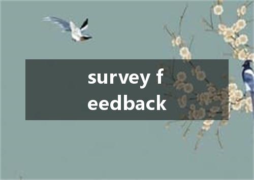 survey feedback是什么意思