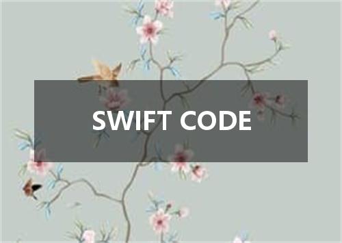 SWIFT CODE是什么意思