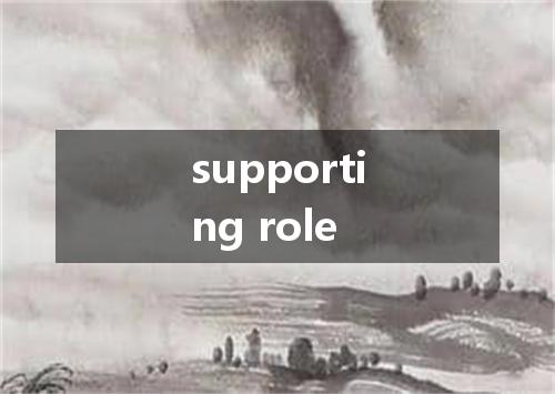 supporting role是什么意思