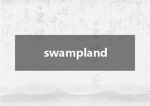 swampland是什么意思