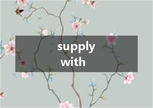 supply with是什么意思