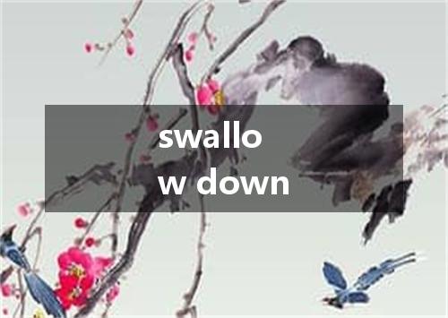 swallow down是什么意思