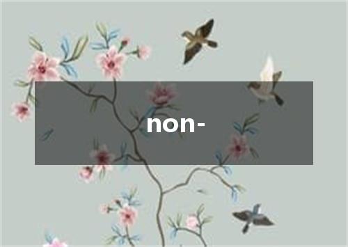 non-是什么意思
